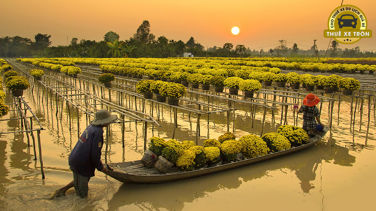 Làm Hoa Sadec Đồng Tháp